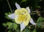2007-0614-1544-58.jpg